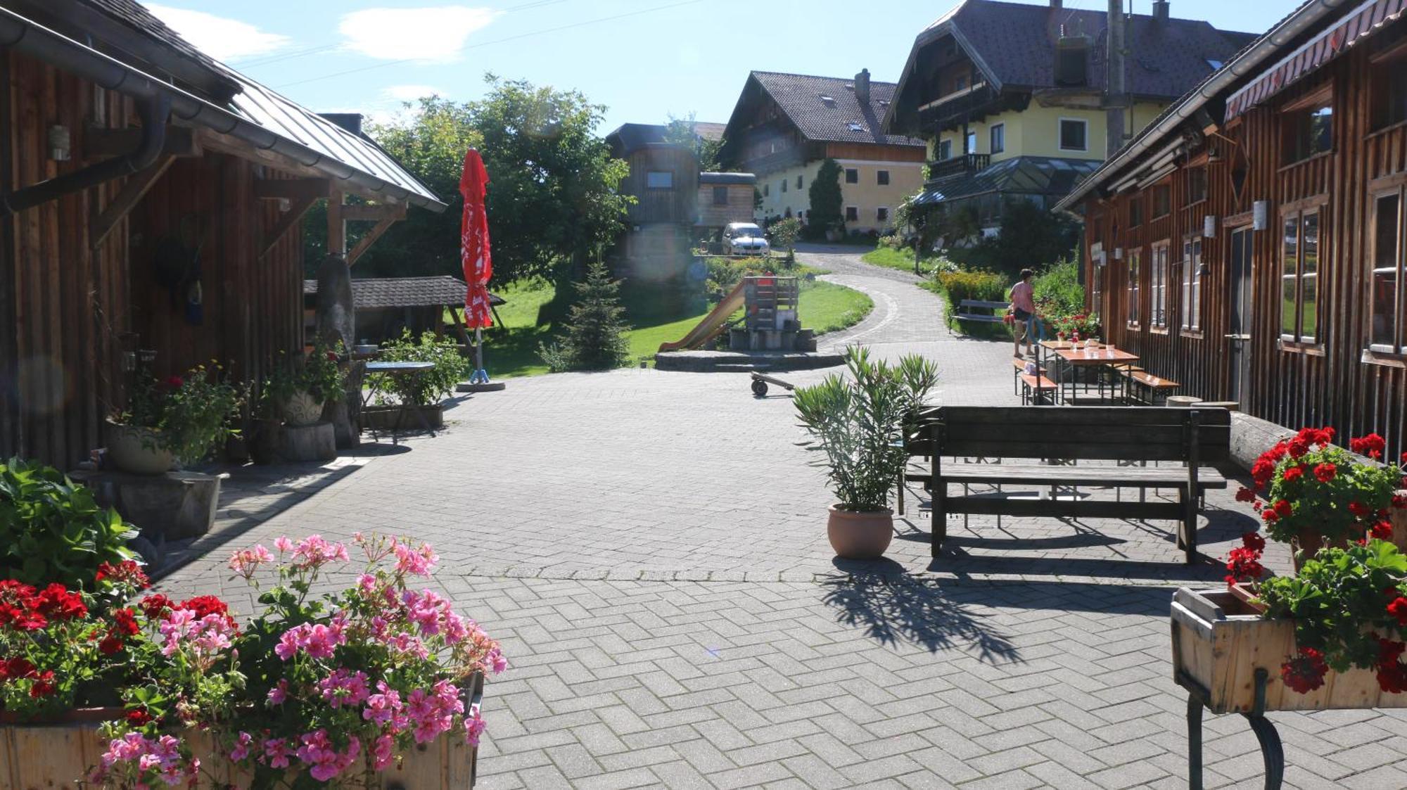 Bio Archehof Zachhiesen - Stay & Relax Seekirchen am Wallersee Eksteriør bilde